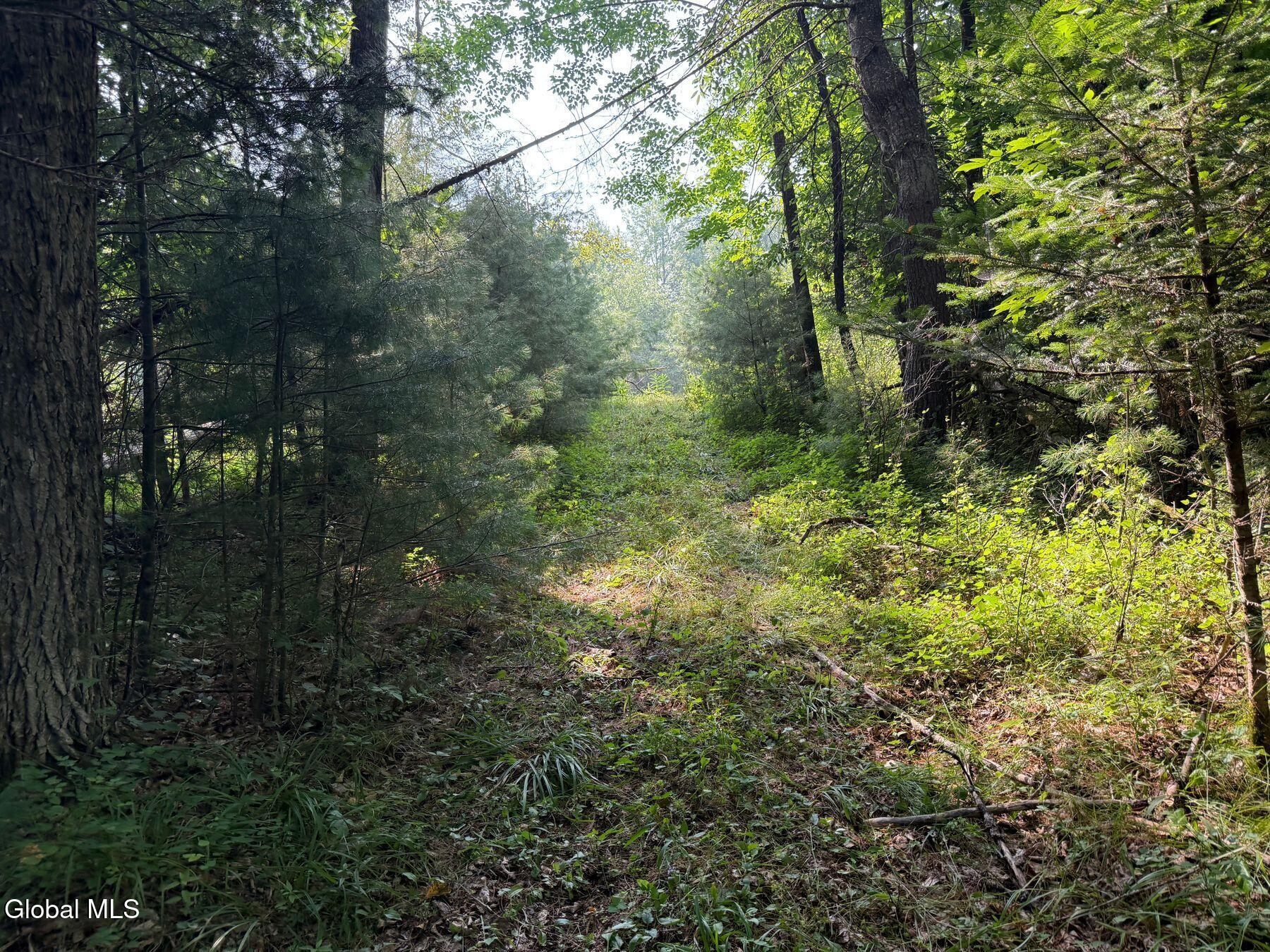 L17 Vanderwalker Road Chestertown, NY 12817 - Photo 5 of 9 photo_online_004