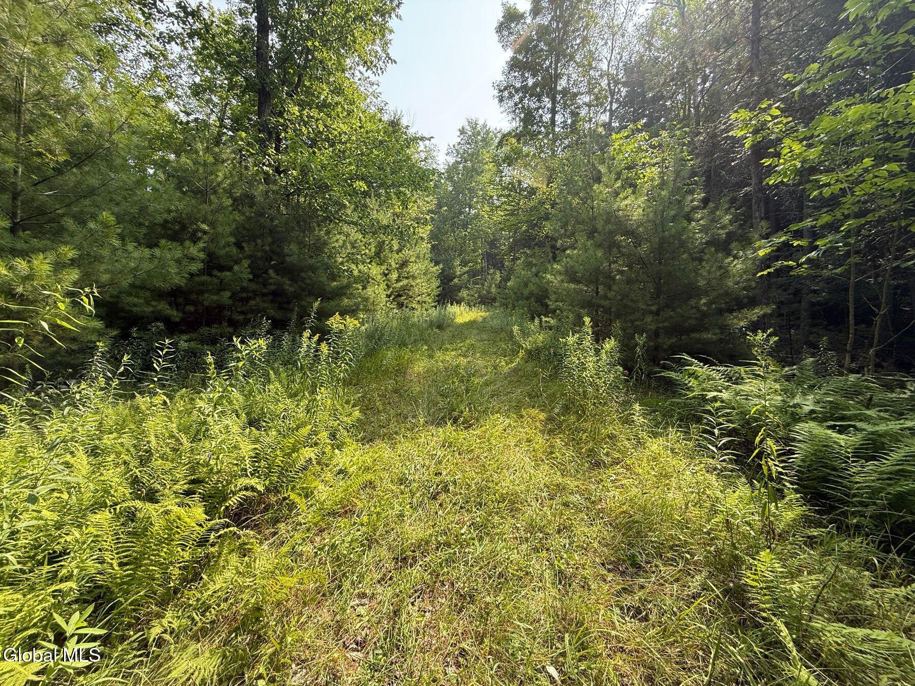 L17 Vanderwalker Road Chestertown, NY 12817 - Photo 6 of 9 photo_online_005