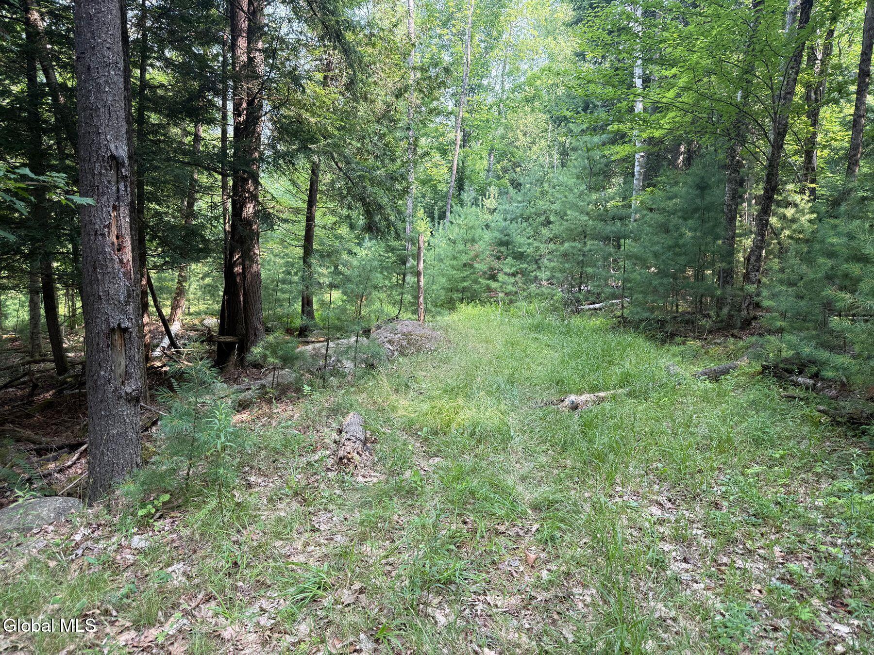 L17 Vanderwalker Road Chestertown, NY 12817 - Photo 7 of 9 photo_online_006