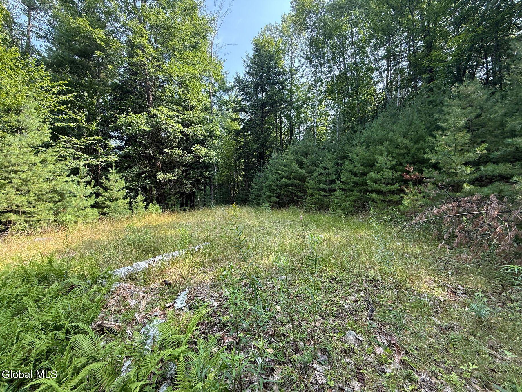 L17 Vanderwalker Road Chestertown, NY 12817 - Photo 8 of 9 photo_online_007