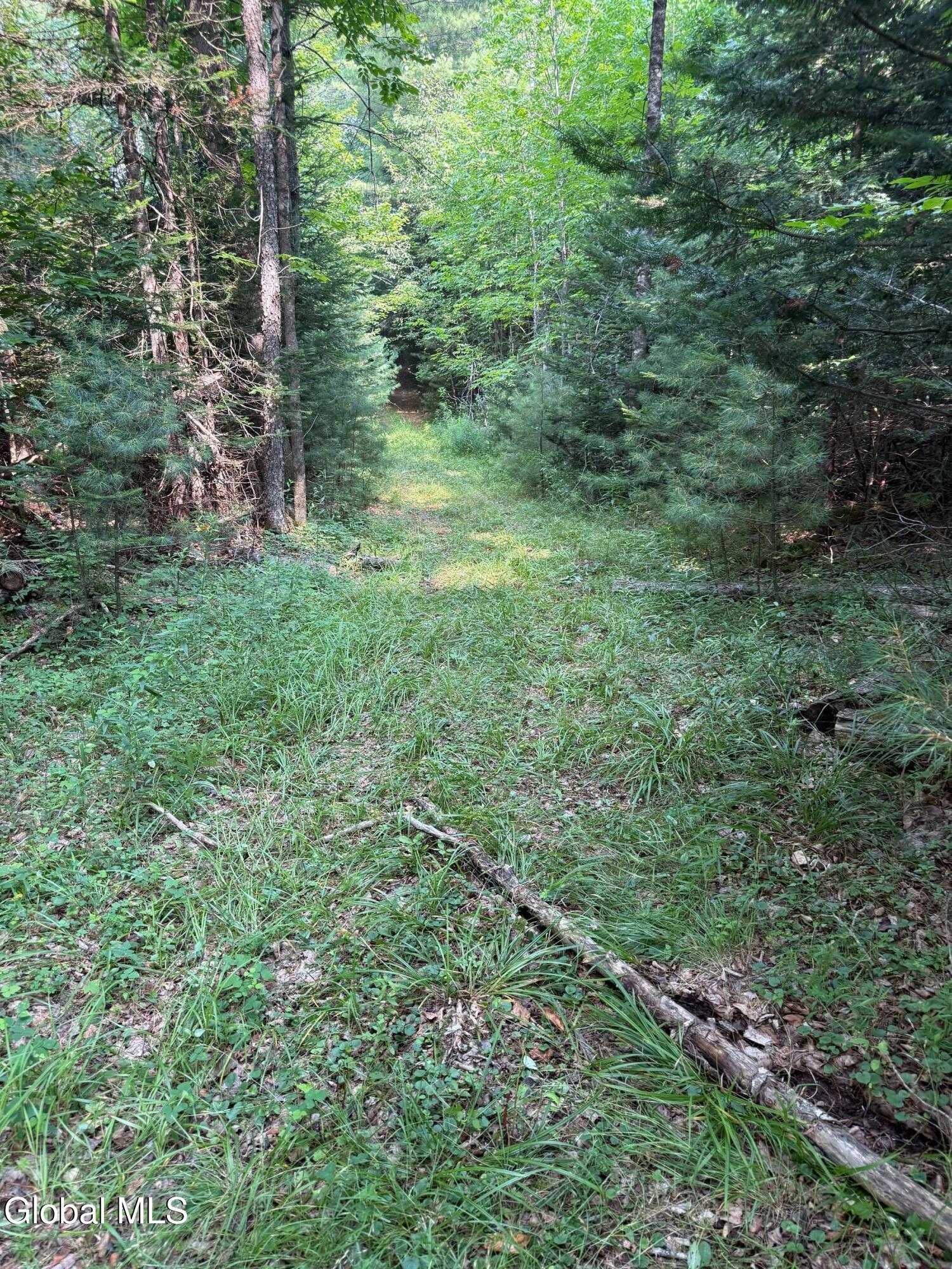 L17 Vanderwalker Road Chestertown, NY 12817 - Photo 9 of 9 photo_online_008