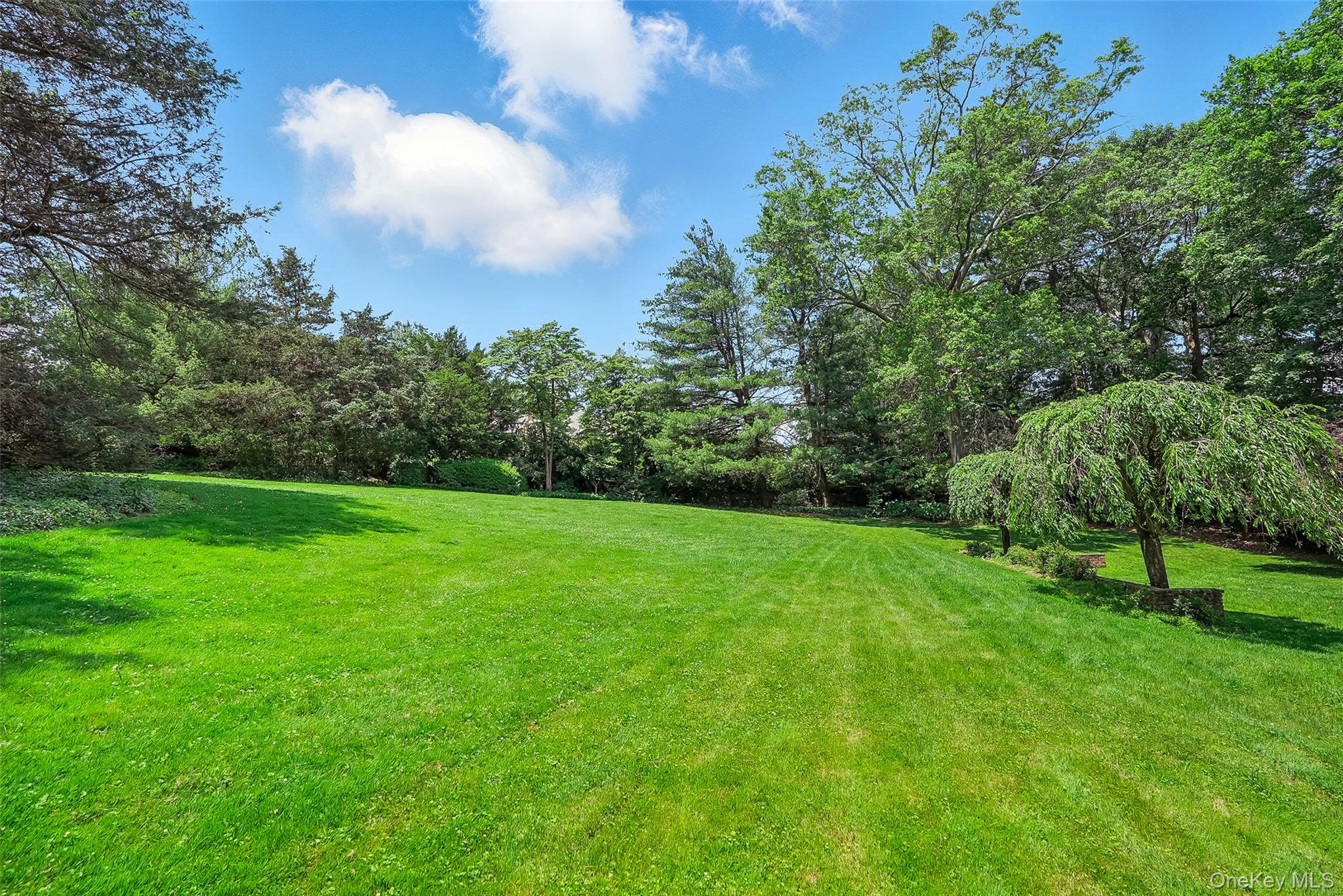 6 Club Road Rye, NY 10580 - Photo 20 of 26 a view of yard with grass & palm trees