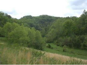 106 Brown Road Sneedville, TN 37869 - Photo 11 of 24 Photo 11