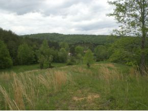 106 Brown Road Sneedville, TN 37869 - Photo 13 of 24 Photo 13