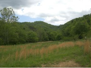 106 Brown Road Sneedville, TN 37869 - Photo 17 of 24 Photo 17