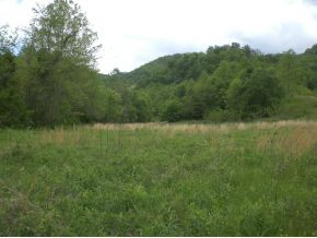 106 Brown Road Sneedville, TN 37869 - Photo 19 of 24 Photo 19
