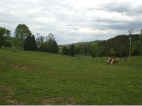 106 Brown Road Sneedville, TN 37869 - Photo 23 of 24 Photo 23