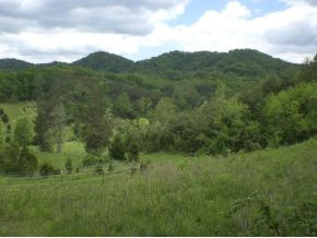 106 Brown Road Sneedville, TN 37869 - Photo 4 of 24 Photo 4