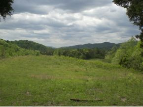106 Brown Road Sneedville, TN 37869 - Photo 6 of 24 Photo 6