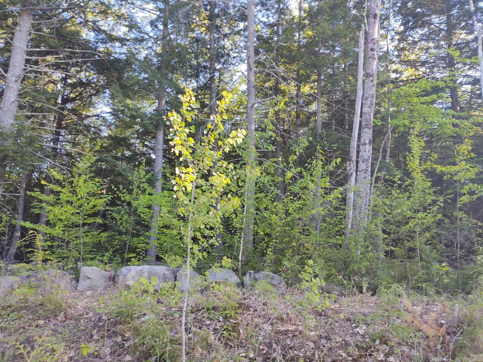 11 Bakerstown Road Poland, ME 04274 - Photo 3 of 5 land4