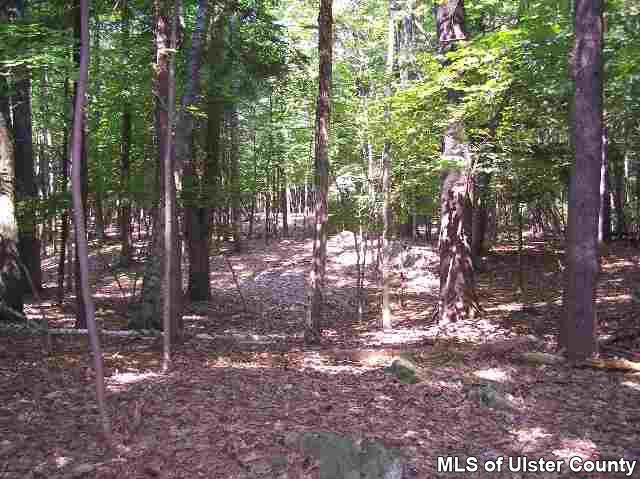 Tbd Church Road, Unit WOODSTOCK TOWN LINE Saugerties, NY 12477 - Photo 2 of 4 Photo 3