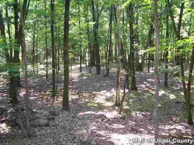 Tbd Church Road, Unit WOODSTOCK TOWN LINE Saugerties, NY 12477 - Photo 3 of 4 Photo 4