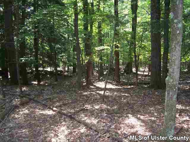 Tbd Church Road, Unit WOODSTOCK TOWN LINE Saugerties, NY 12477 - Photo 4 of 4 Photo 5