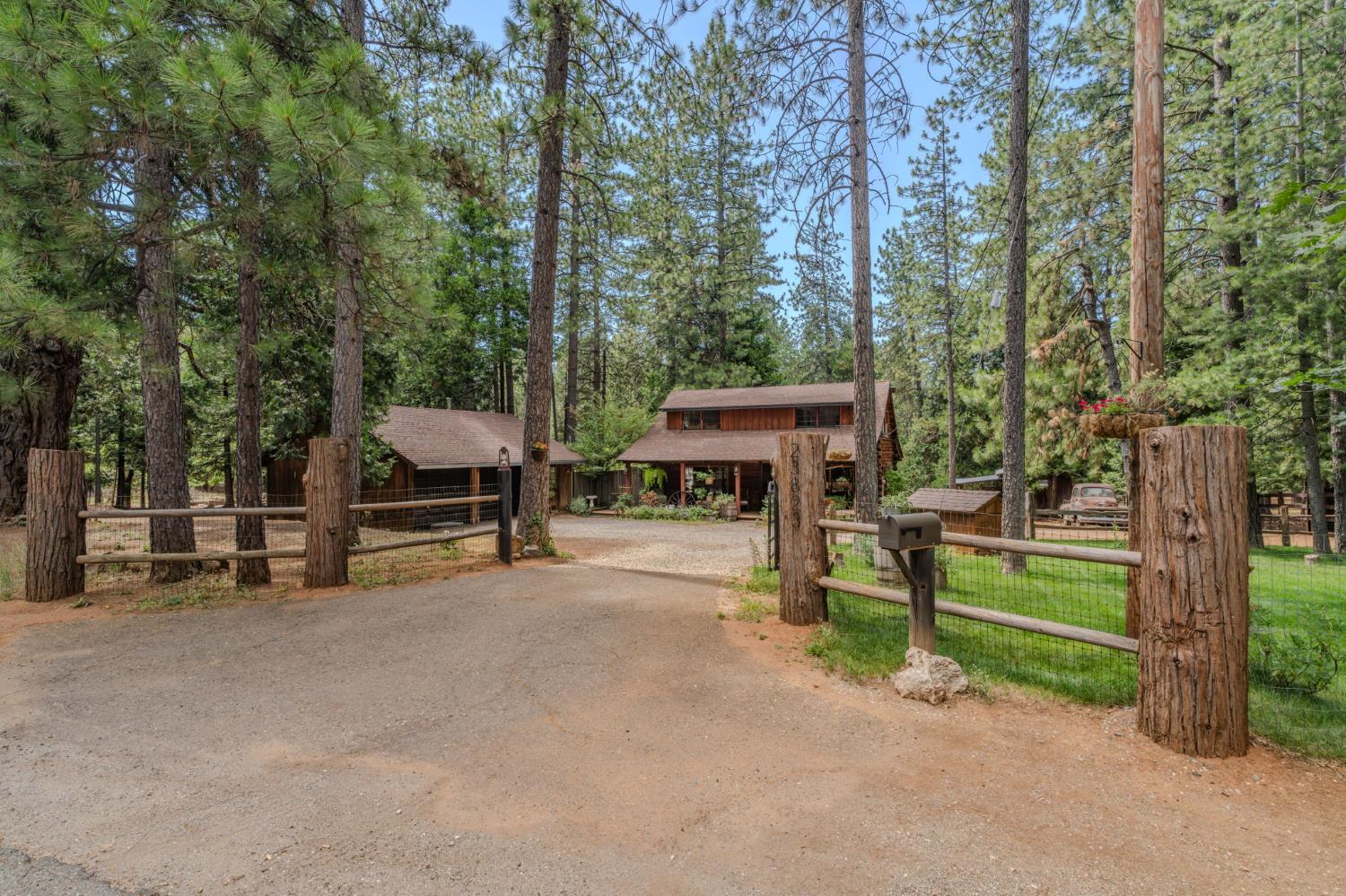 23823 Shake Ridge Road Volcano, CA 95689 - Photo 4 of 80
