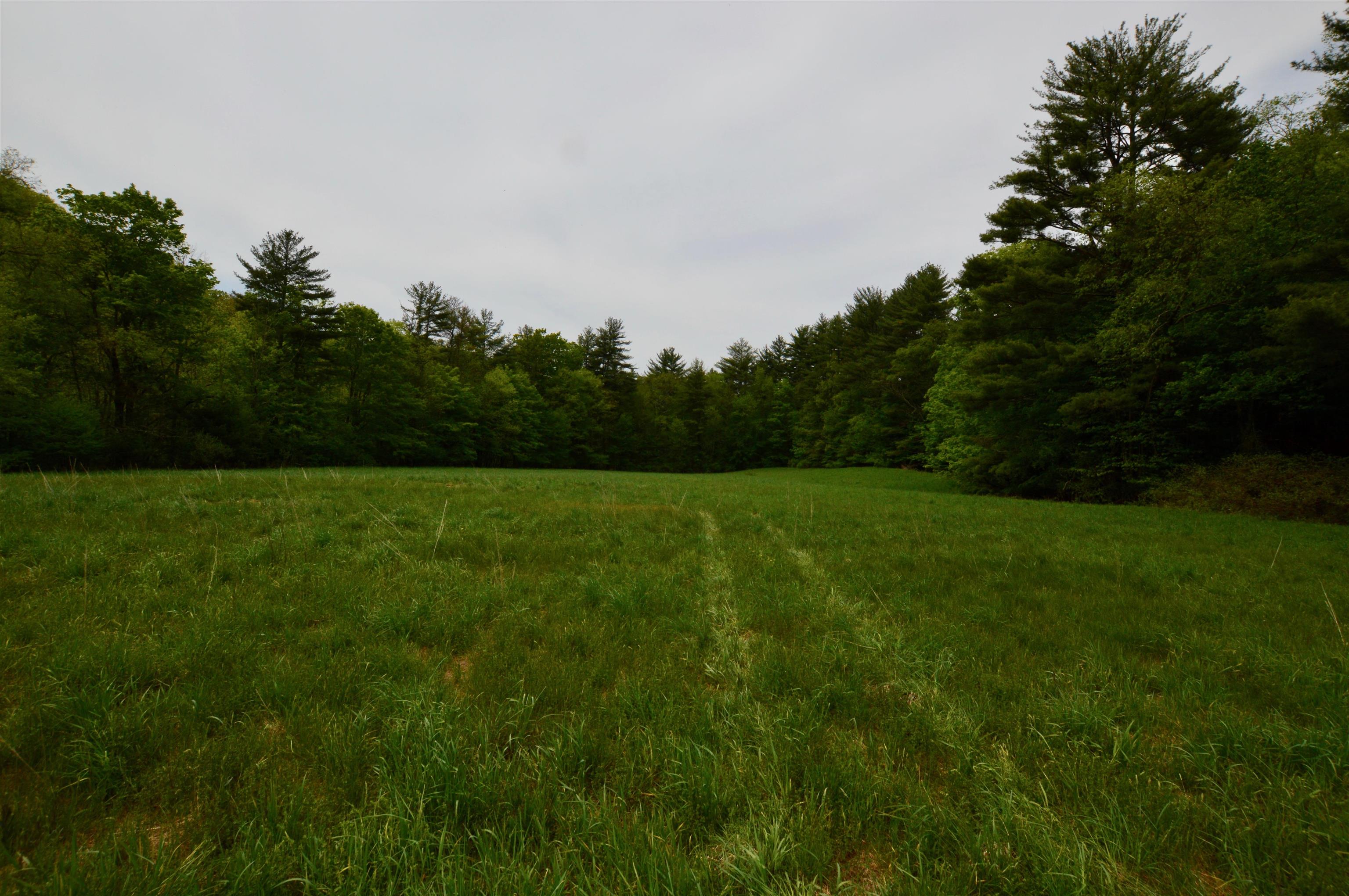 Mount Aeolus Road, Unit PARCEL 2 Manchester Center, VT 05255 - Photo 4 of 6 Gallery Image 4