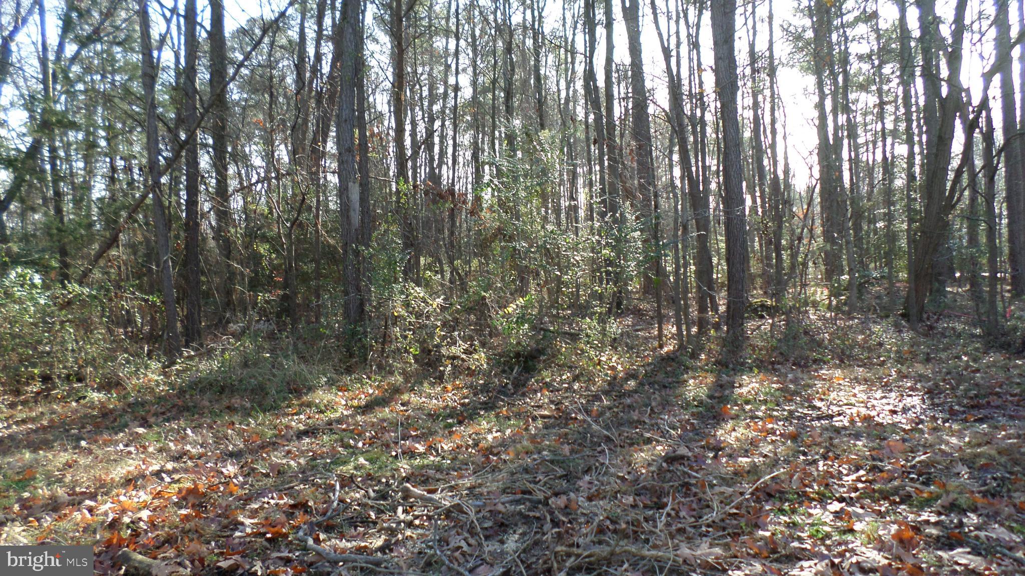 14th Street Colonial Beach, VA 22443 - Photo 1 of 2 Front View