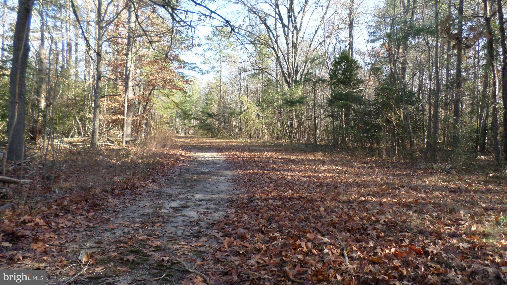 14th Street Colonial Beach, VA 22443 - Photo 2 of 2 Dirt Road