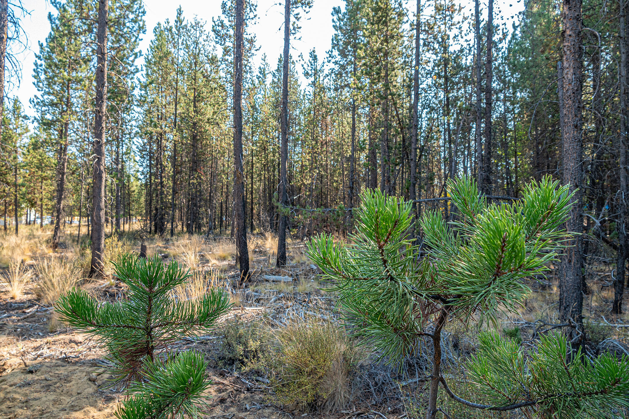 17141 Bakersfield Road Bend, OR 97707 - Photo 11 of 15 011