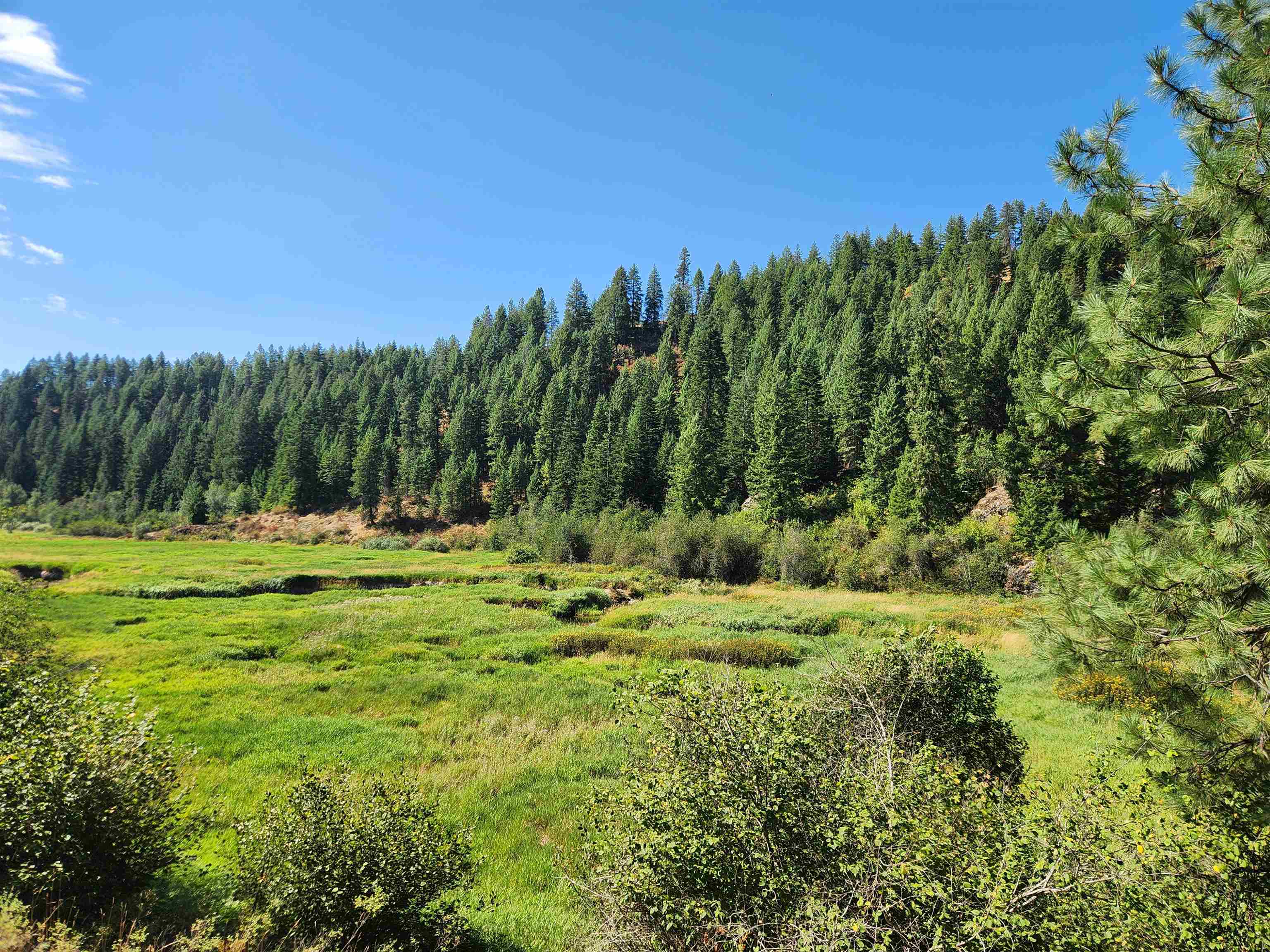 2901 Nicholson Road Elk, WA 99009 - Photo 1 of 11