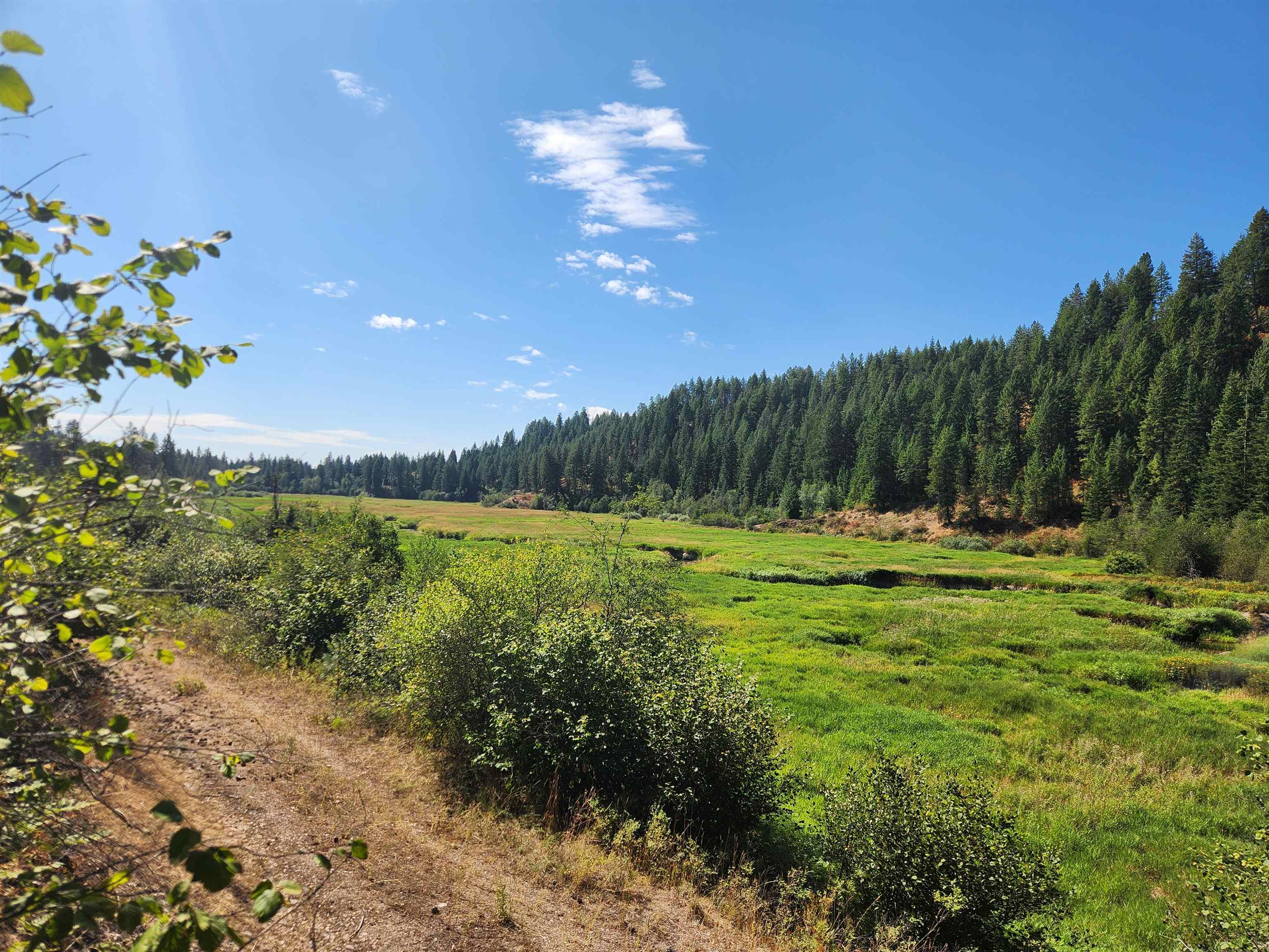 2901 Nicholson Road Elk, WA 99009 - Photo 11 of 11