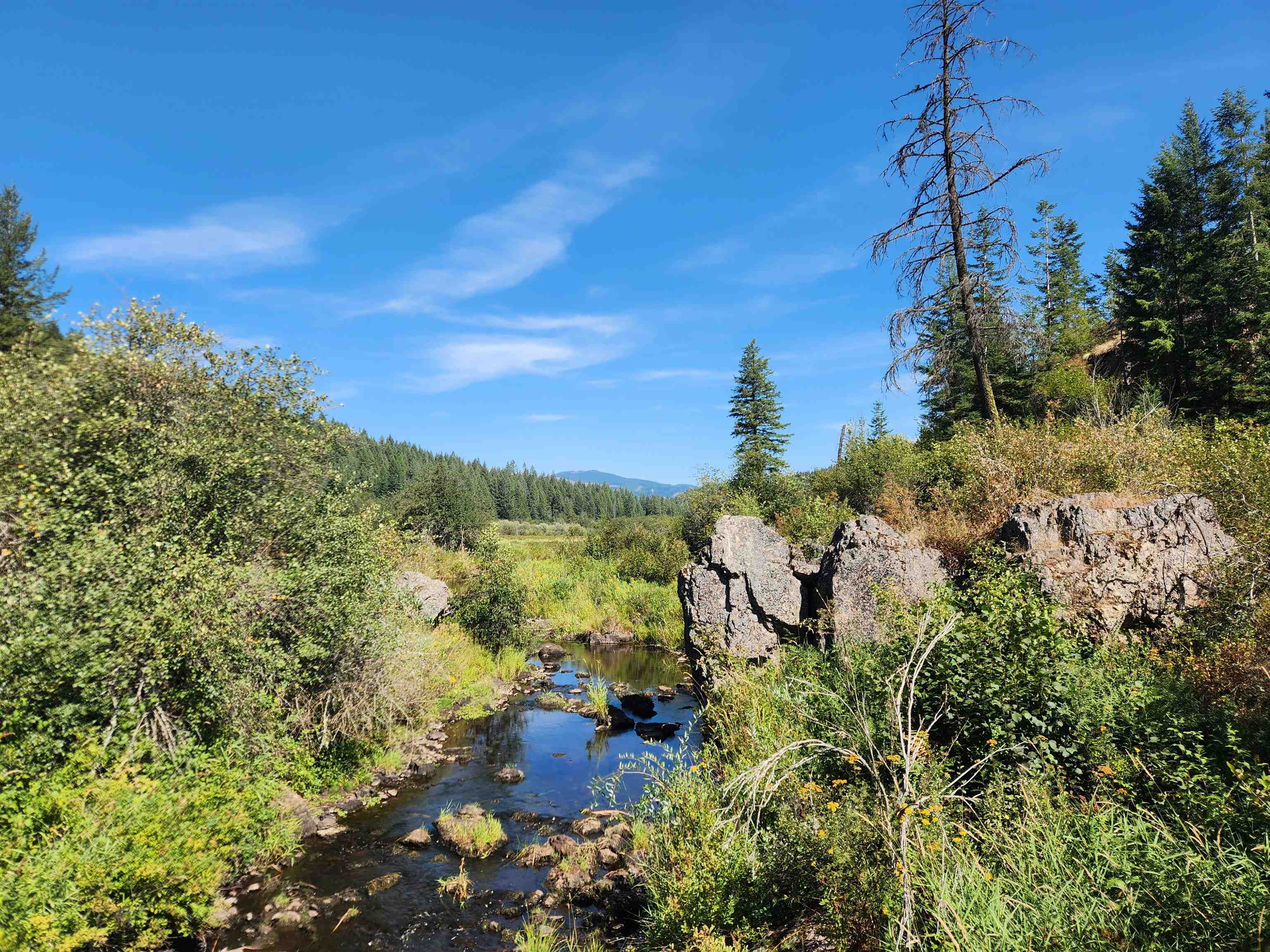 2901 Nicholson Road Elk, WA 99009 - Photo 2 of 11