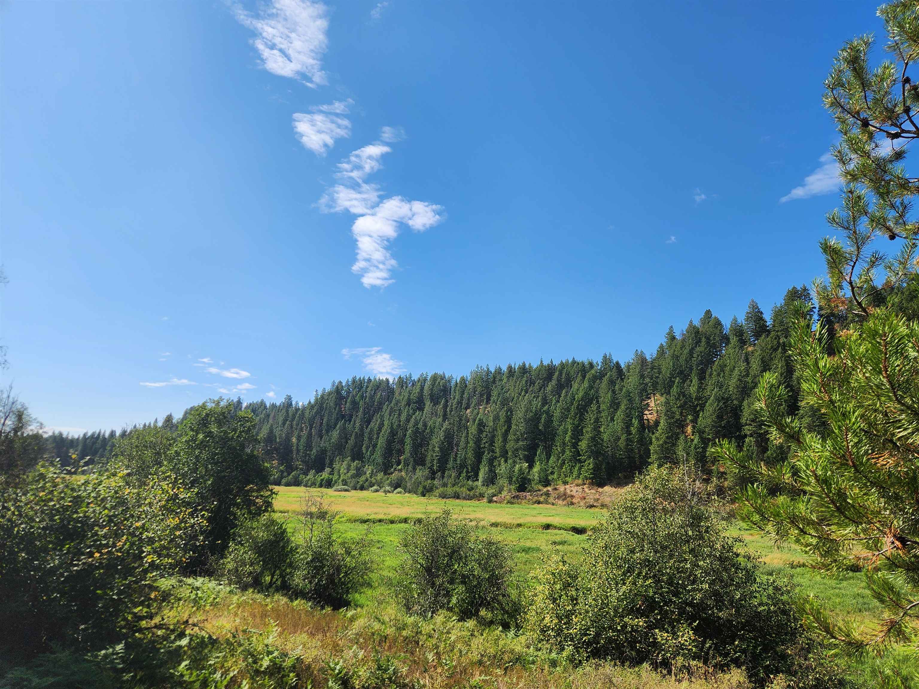 2901 Nicholson Road Elk, WA 99009 - Photo 5 of 11