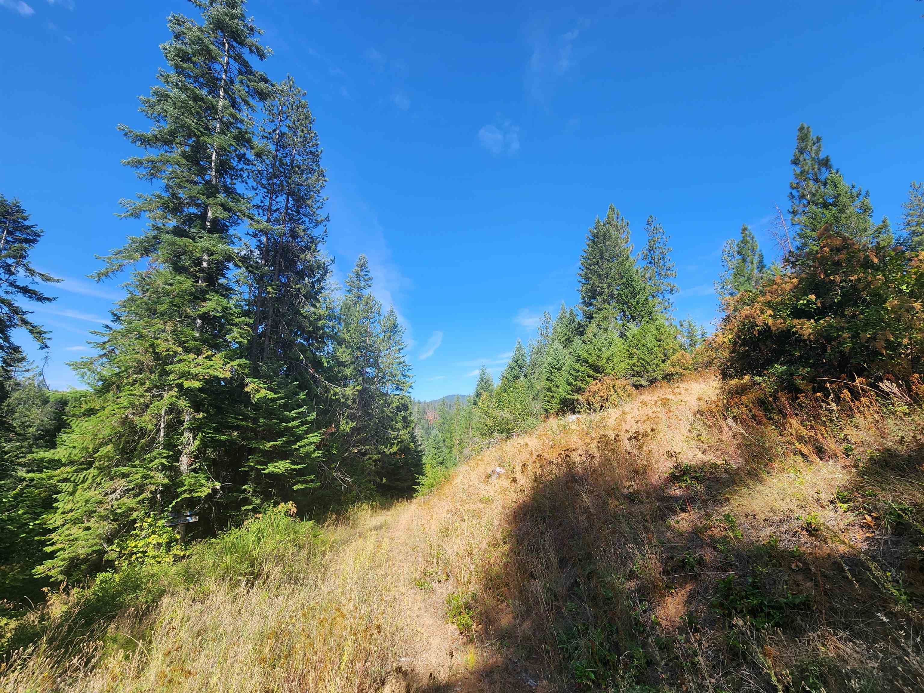 2901 Nicholson Road Elk, WA 99009 - Photo 9 of 11