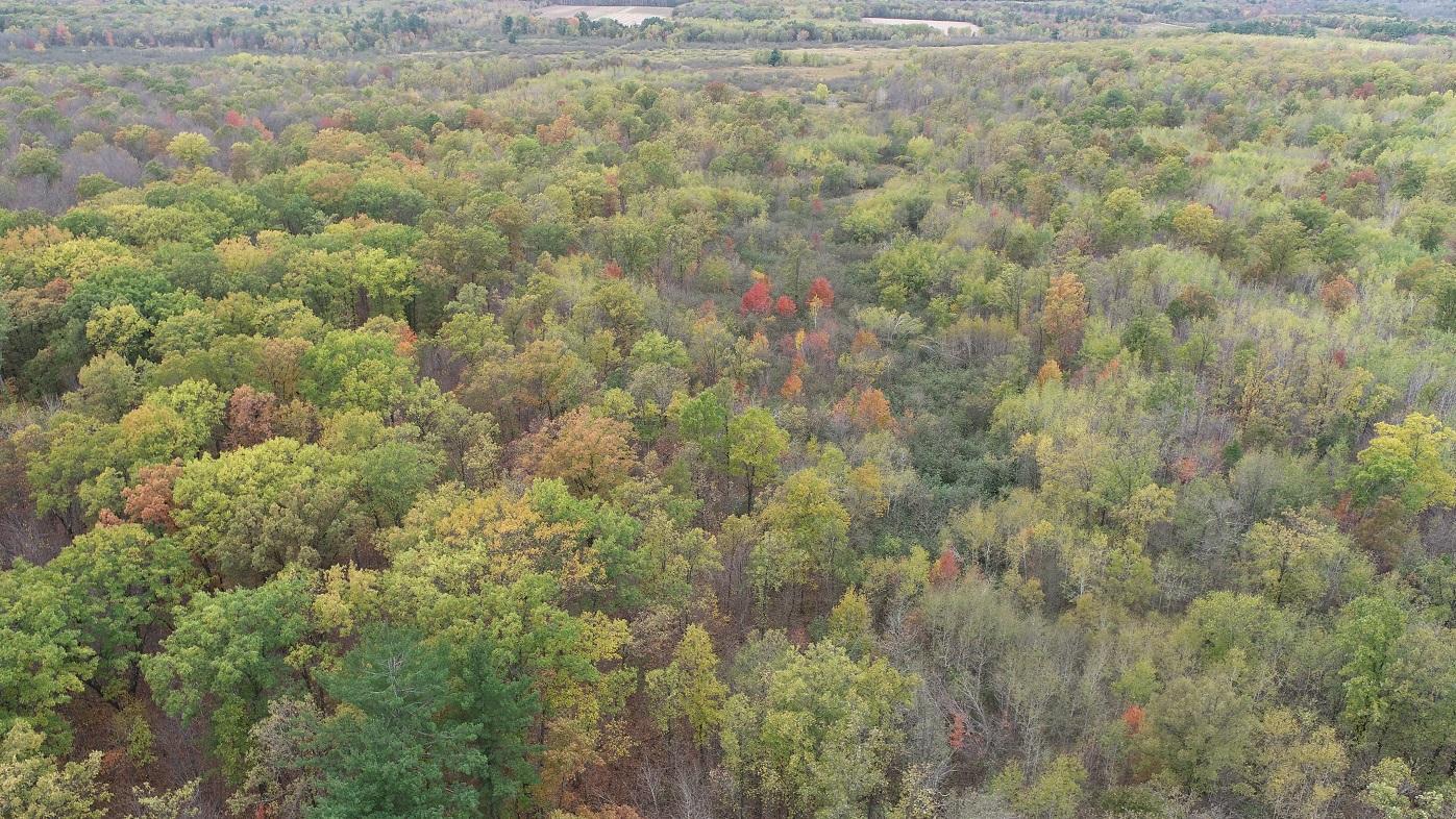 0 20th Avenue Cadott, WI 54727 - Photo 17 of 18