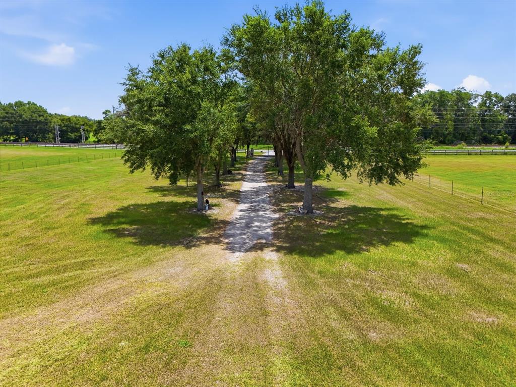 11748 Northeast Jacksonville Road Anthony, FL 32617 - Photo 7 of 50