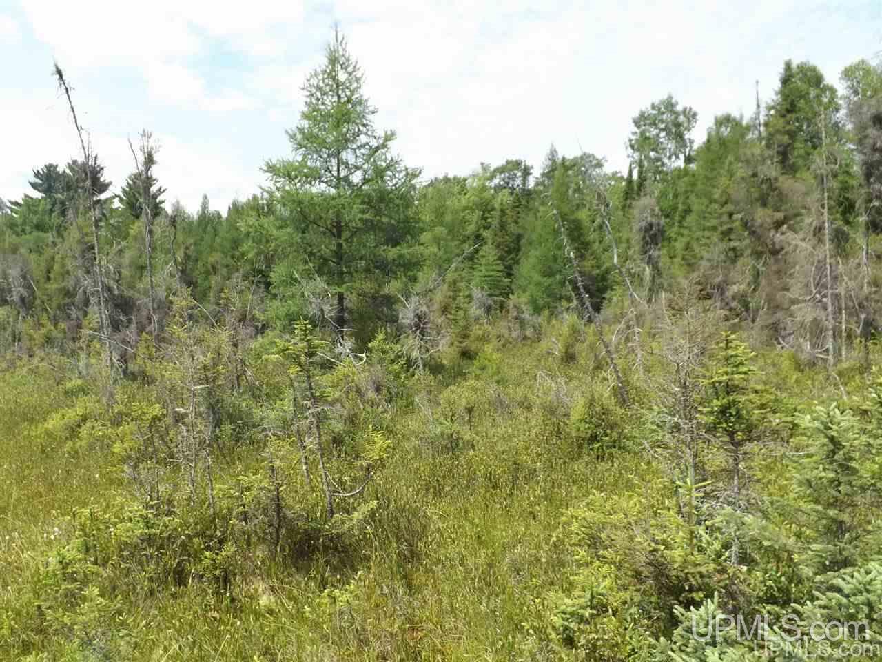 Tbd South Olson Lake Road Michigamme, MI 49861 - Photo 4 of 25