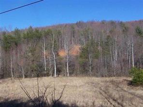 N/a N/a Mccrary Creek Road Lenoir, NC 28645 - Photo 1 of 1 a view of a backyard of a house