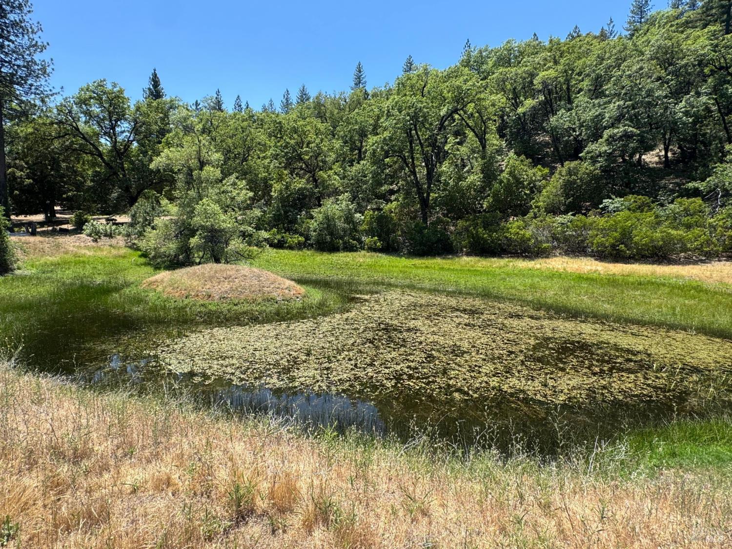 47601 Bentley Ridge Road Covelo, CA 95428 - Photo 11 of 30