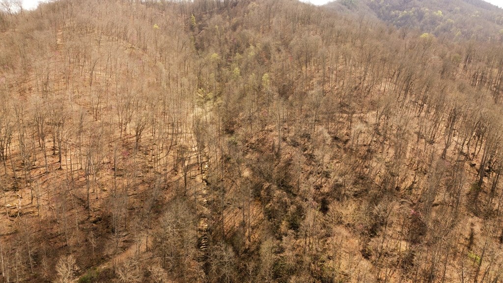 Tbd Caney Valley Road Bristol, VA 24202 - Photo 21 of 23 Gallery Image 21