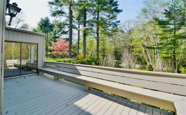 8 Plummer Road Boxford, MA 01921 - Photo 25 of 27 a view of backyard with a large trees and plants
