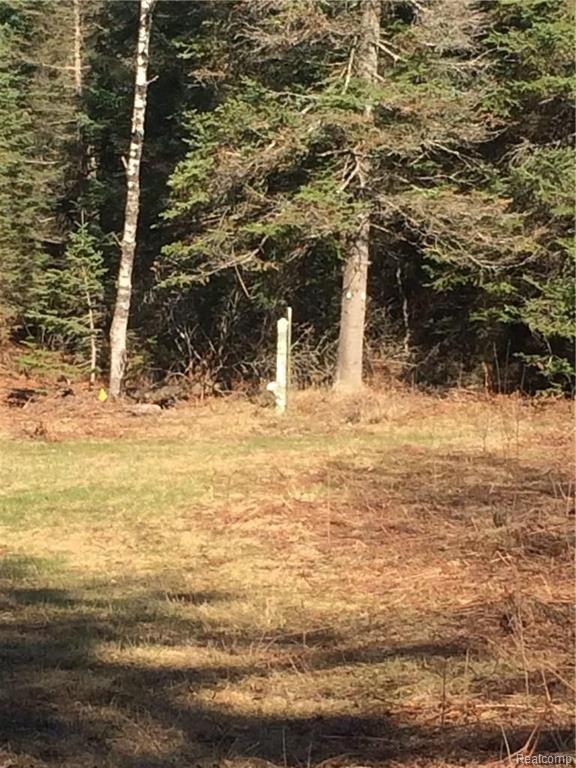 Vl Kidder Road Gaylord, MI 49735 - Photo 12 of 19