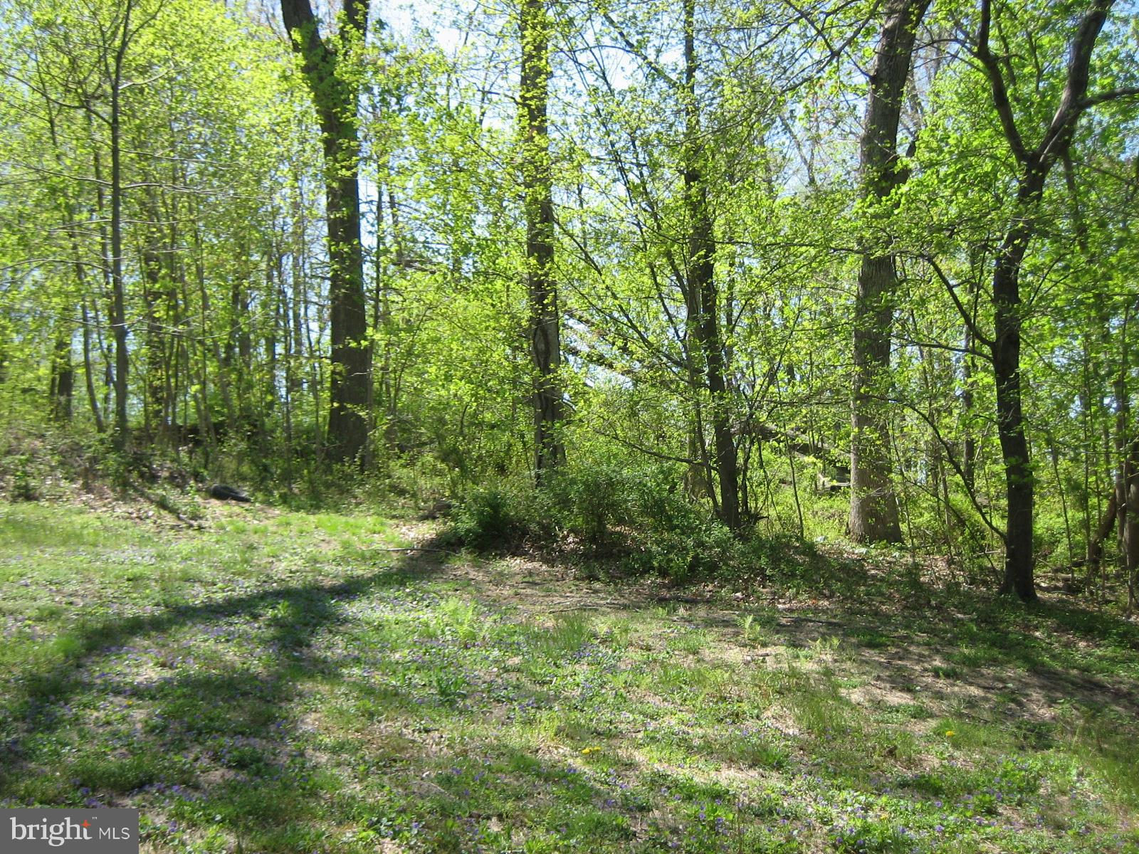 64 High Street Colora, MD 21917 - Photo 4 of 13 View