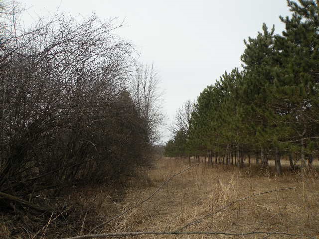3866 Miller Road Owosso, MI 48867 - Photo 35 of 38 Gallery Image 35