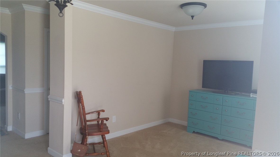 293 United Road Raeford, NC 28376 - Photo 3 of 23 Gallery Image 3
