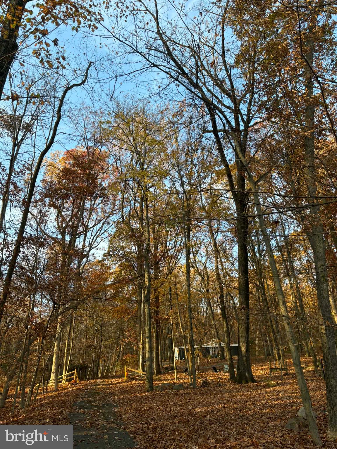 4660 Oley Turnpike Road Reading, PA 19606 - Photo 11 of 13 Autumn serenity in a wooded path.