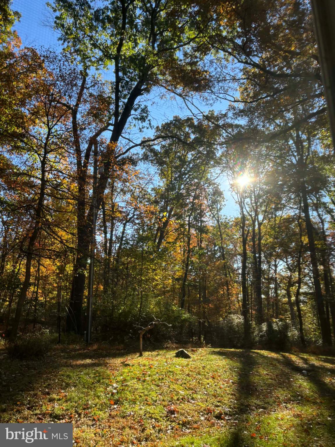 4660 Oley Turnpike Road Reading, PA 19606 - Photo 12 of 13 Autumn's glow in a tranquil forest.