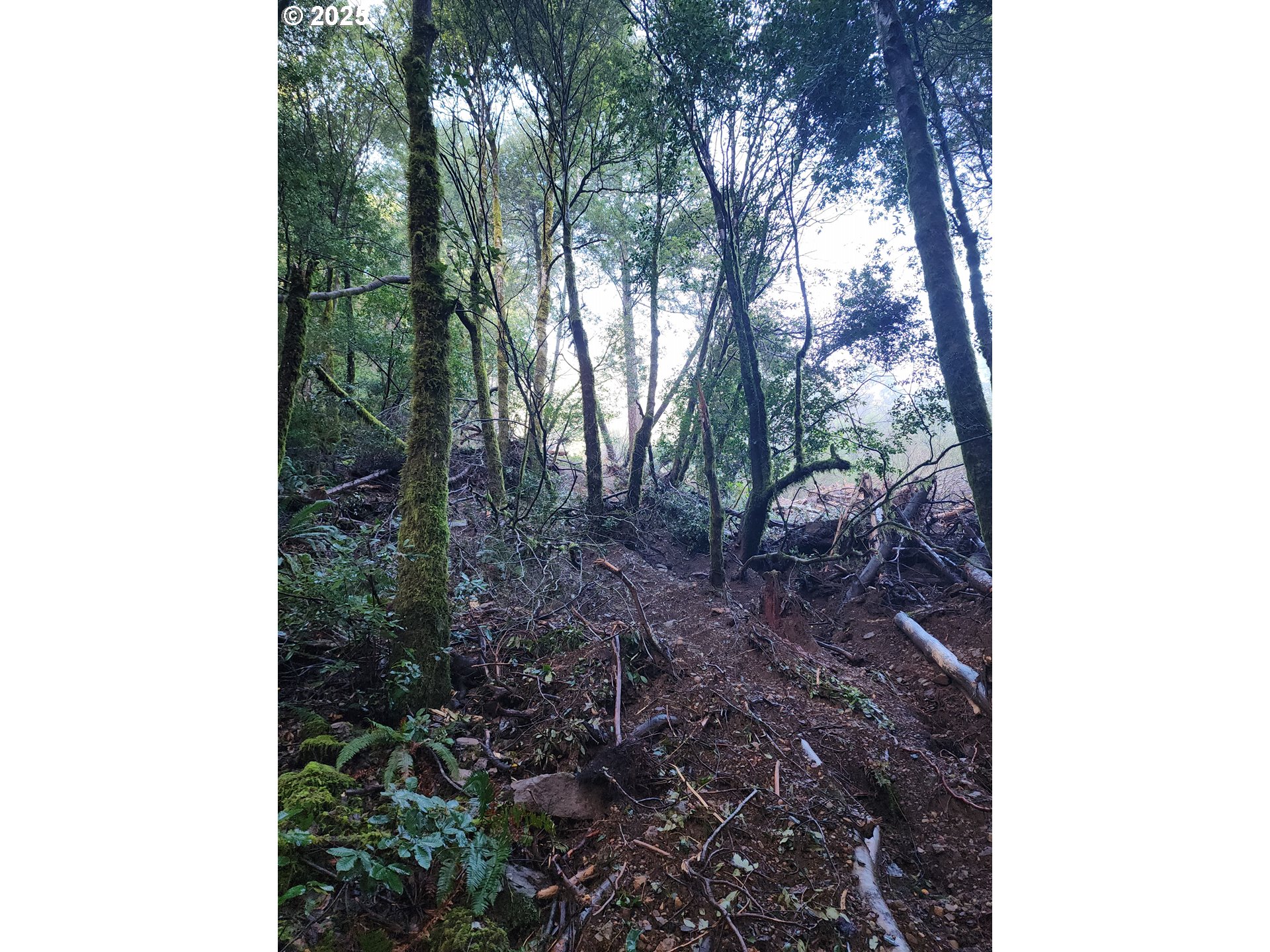 0 Southeast Elk River Road Port Orford, OR 97465 - Photo 11 of 30