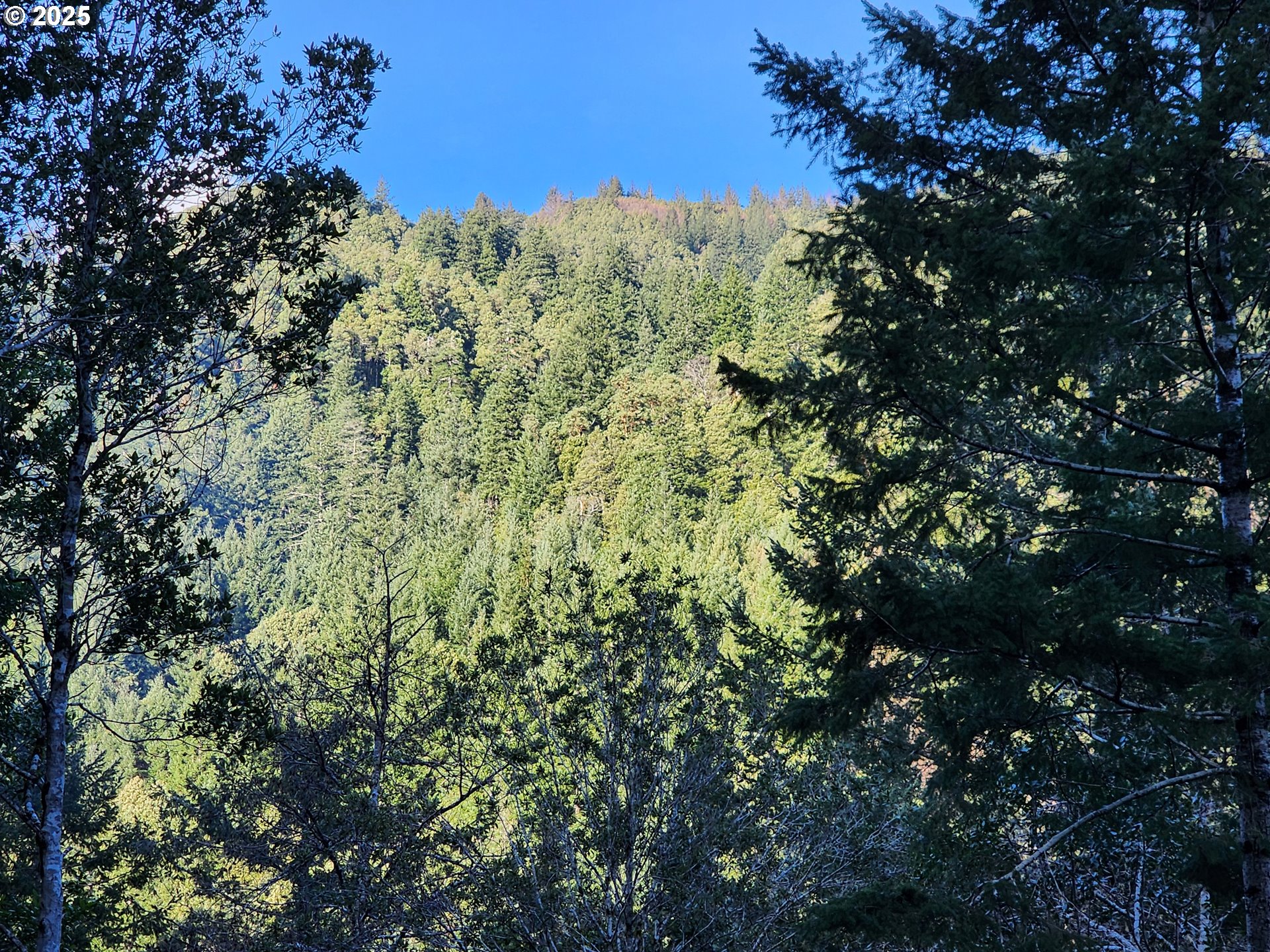 0 Southeast Elk River Road Port Orford, OR 97465 - Photo 13 of 30