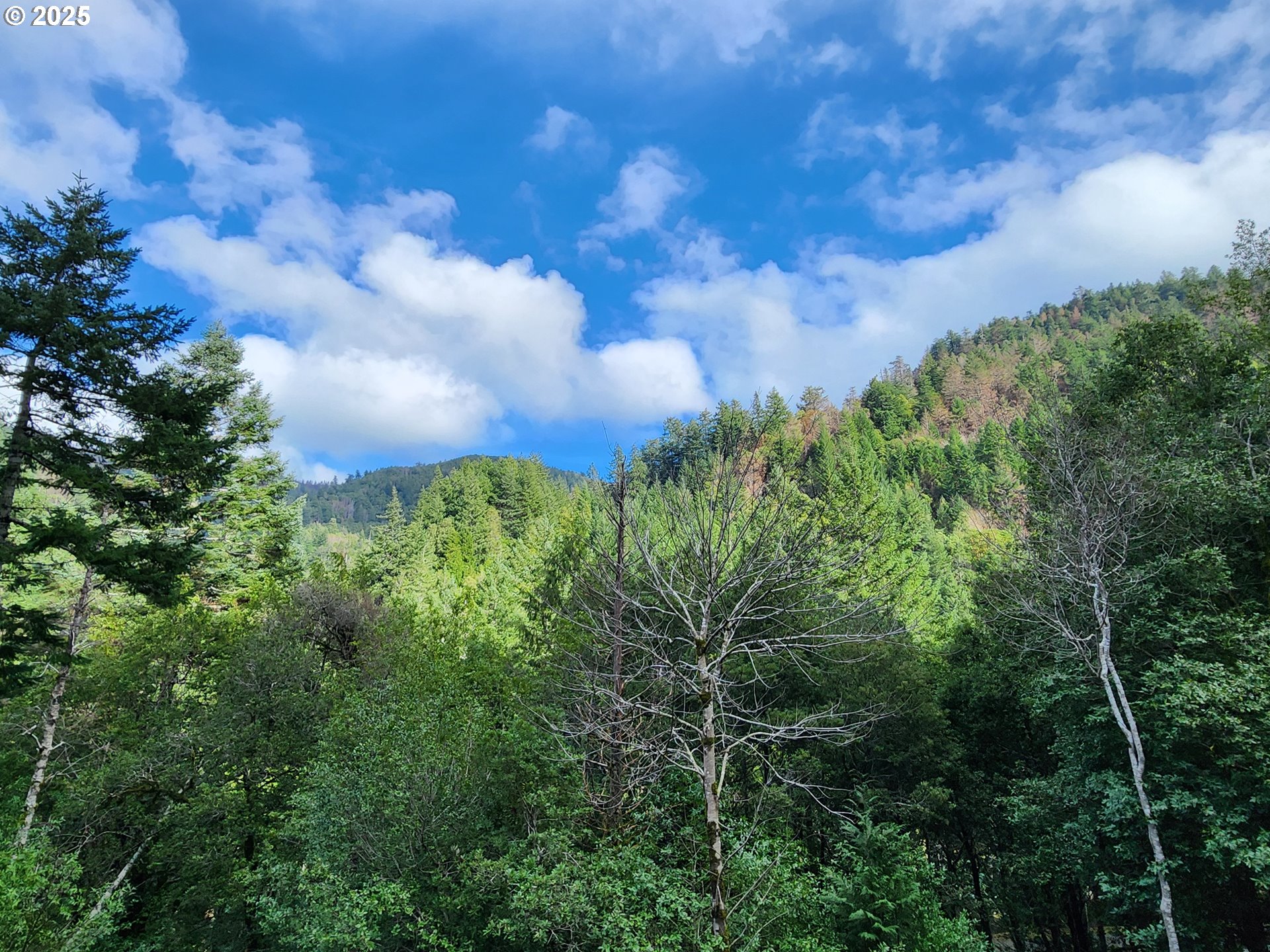 0 Southeast Elk River Road Port Orford, OR 97465 - Photo 16 of 30