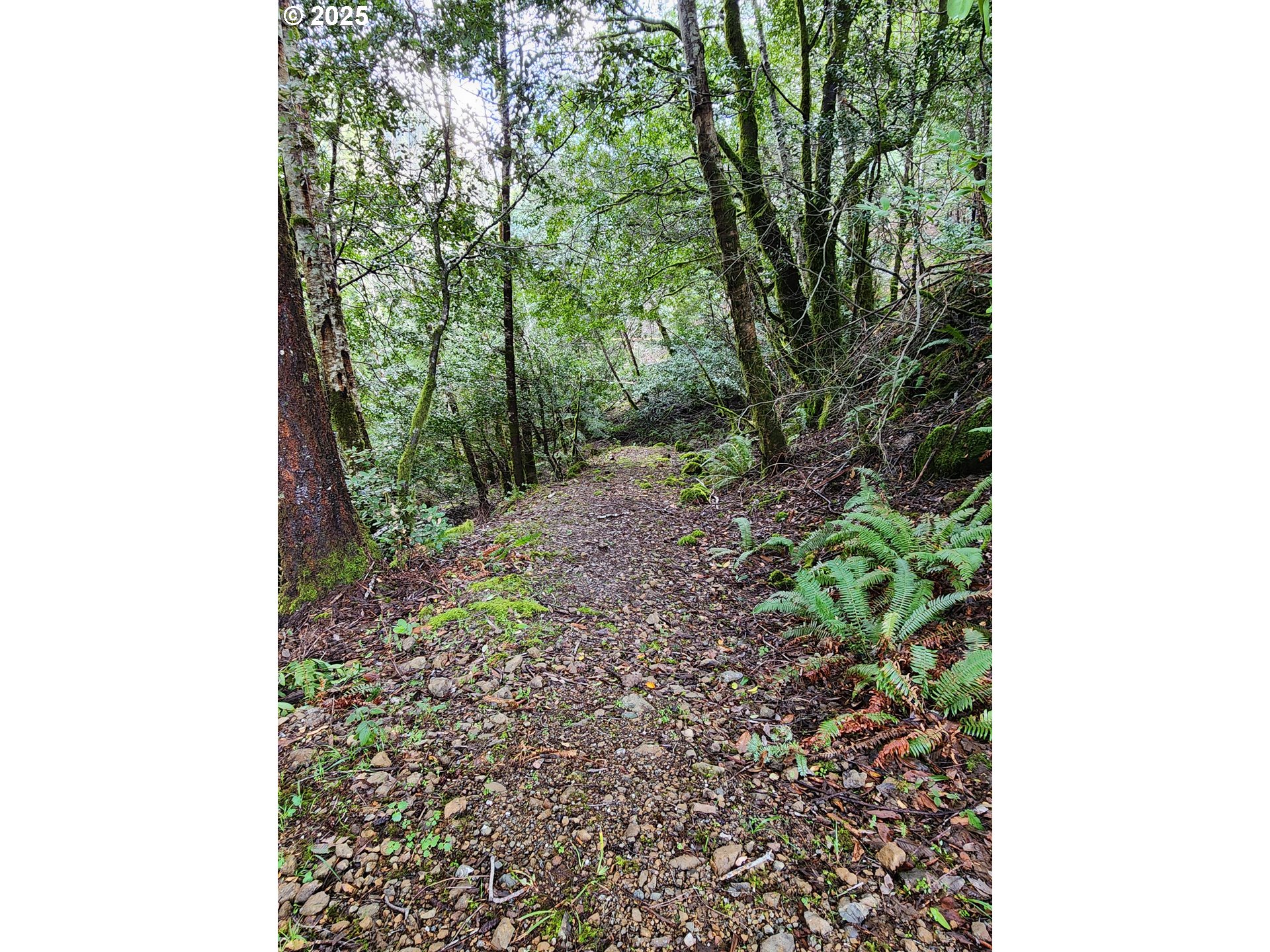 0 Southeast Elk River Road Port Orford, OR 97465 - Photo 17 of 30