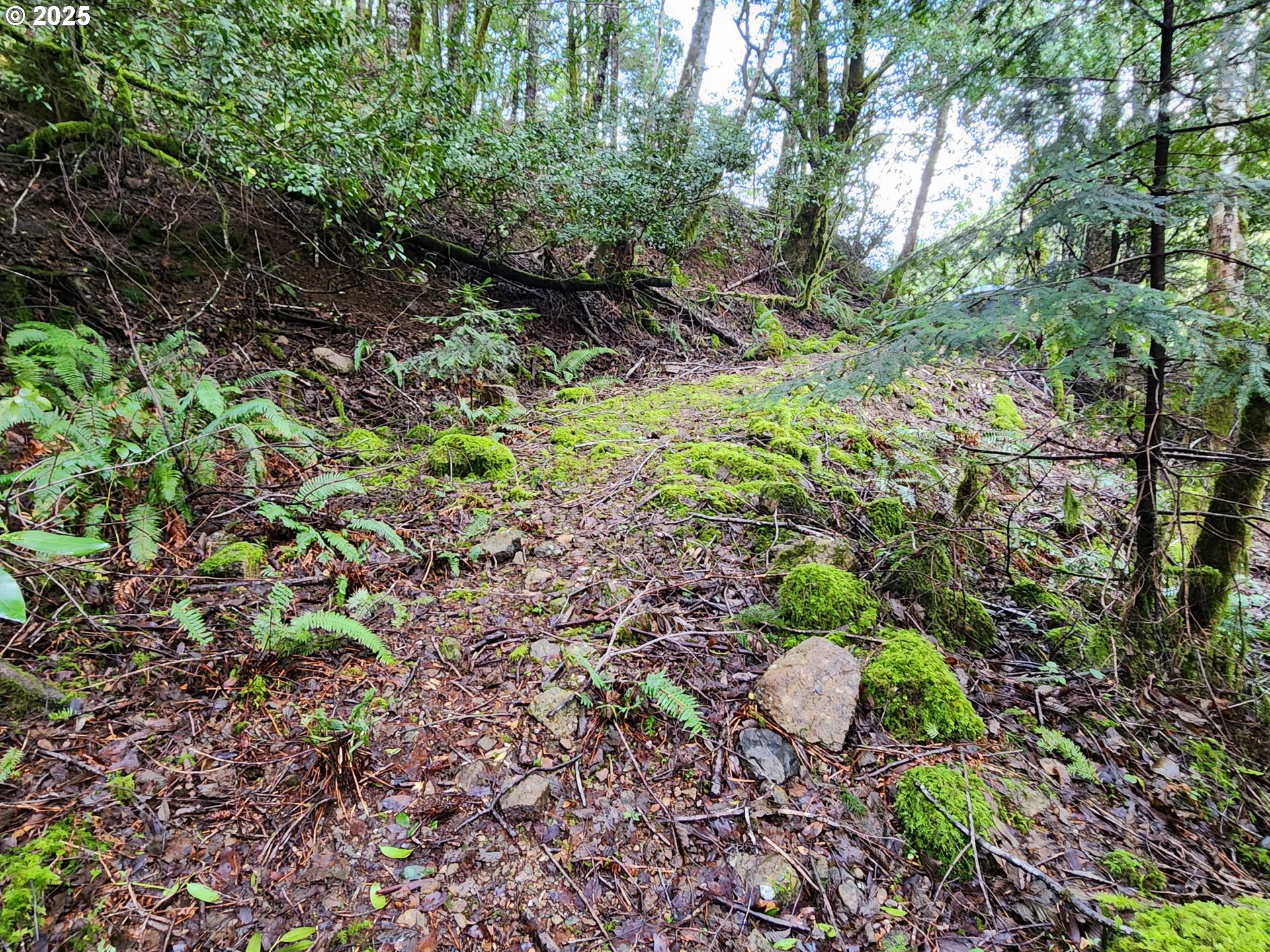 0 Southeast Elk River Road Port Orford, OR 97465 - Photo 18 of 30