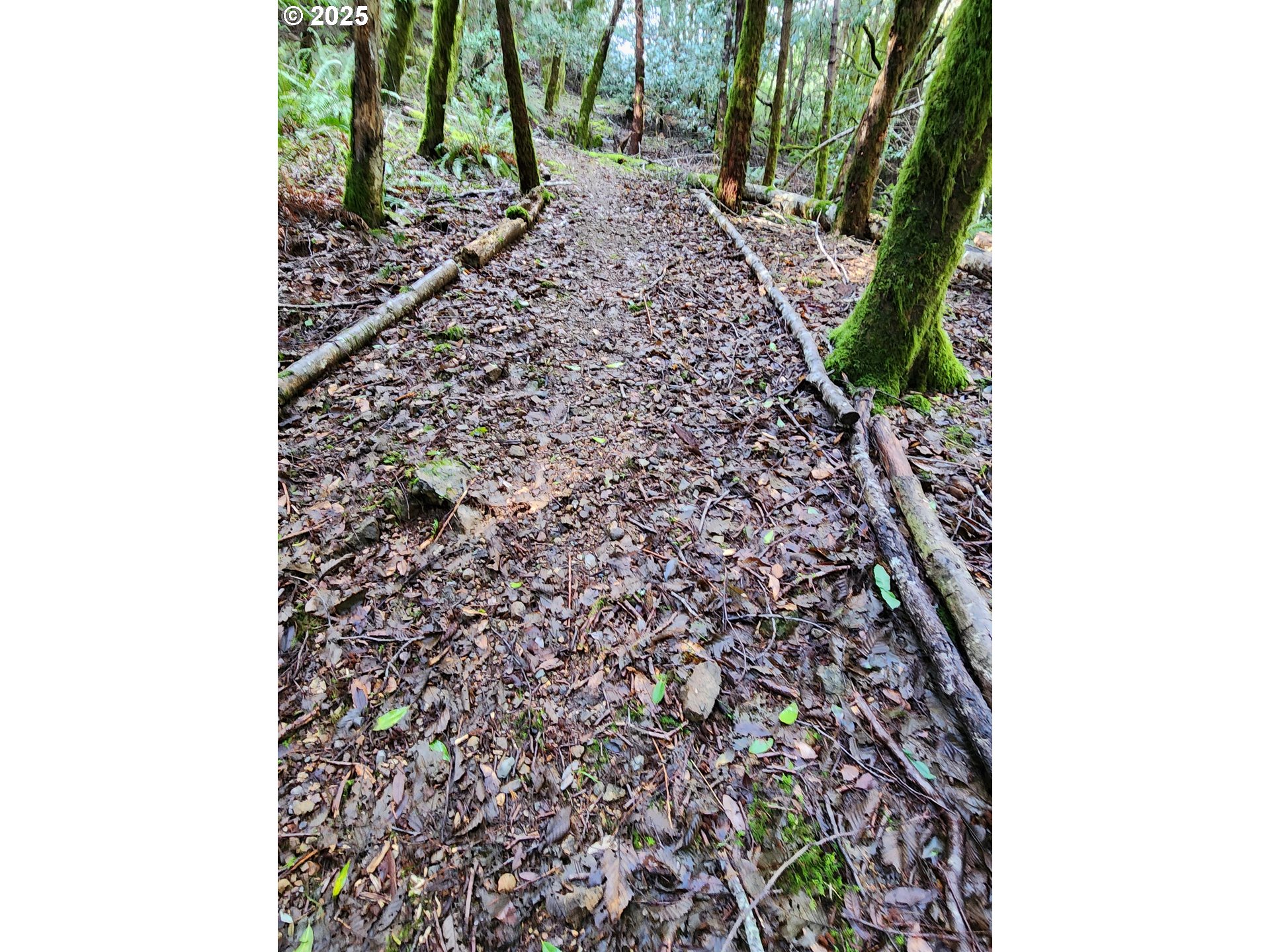 0 Southeast Elk River Road Port Orford, OR 97465 - Photo 19 of 30
