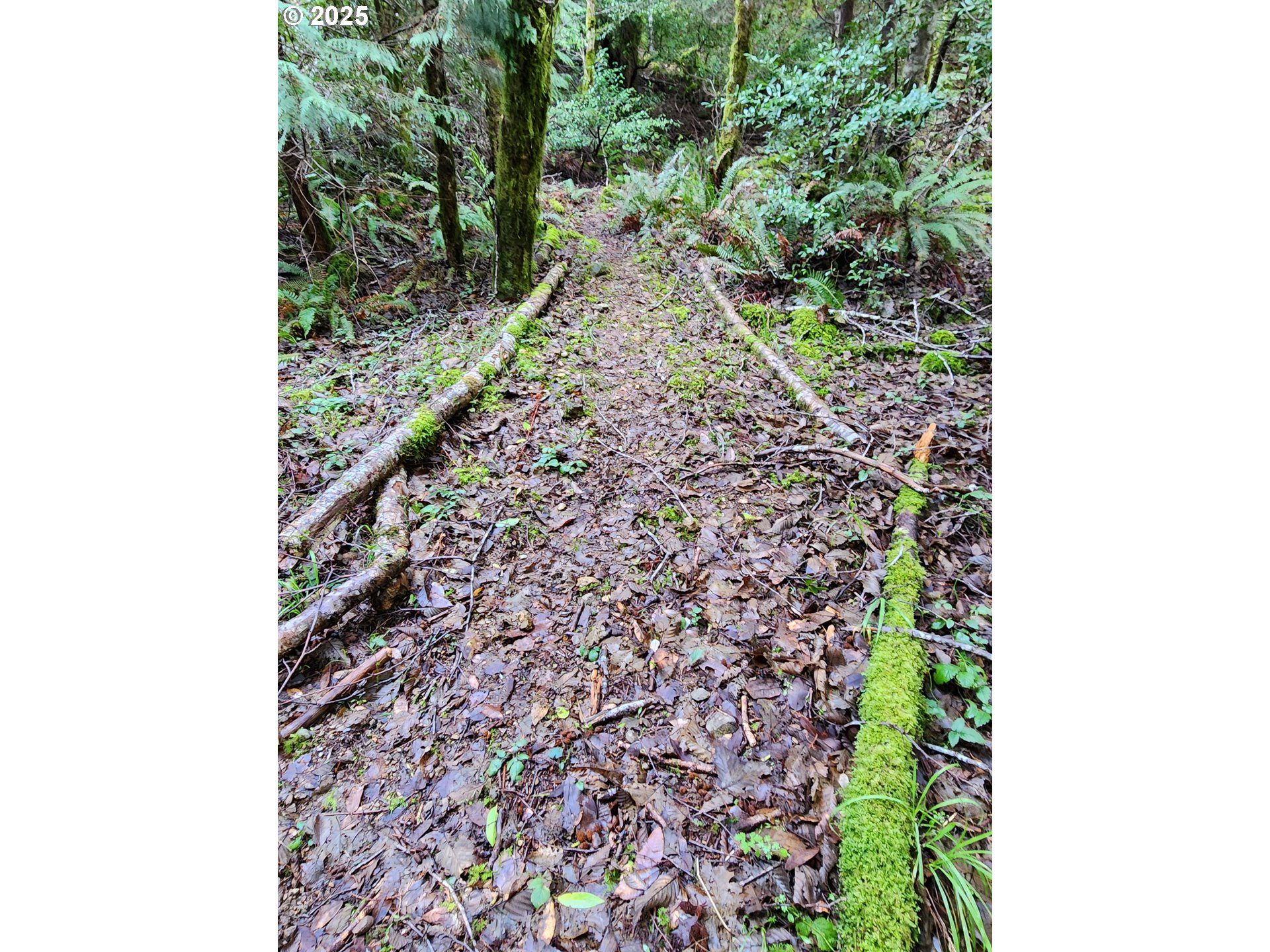 0 Southeast Elk River Road Port Orford, OR 97465 - Photo 20 of 30