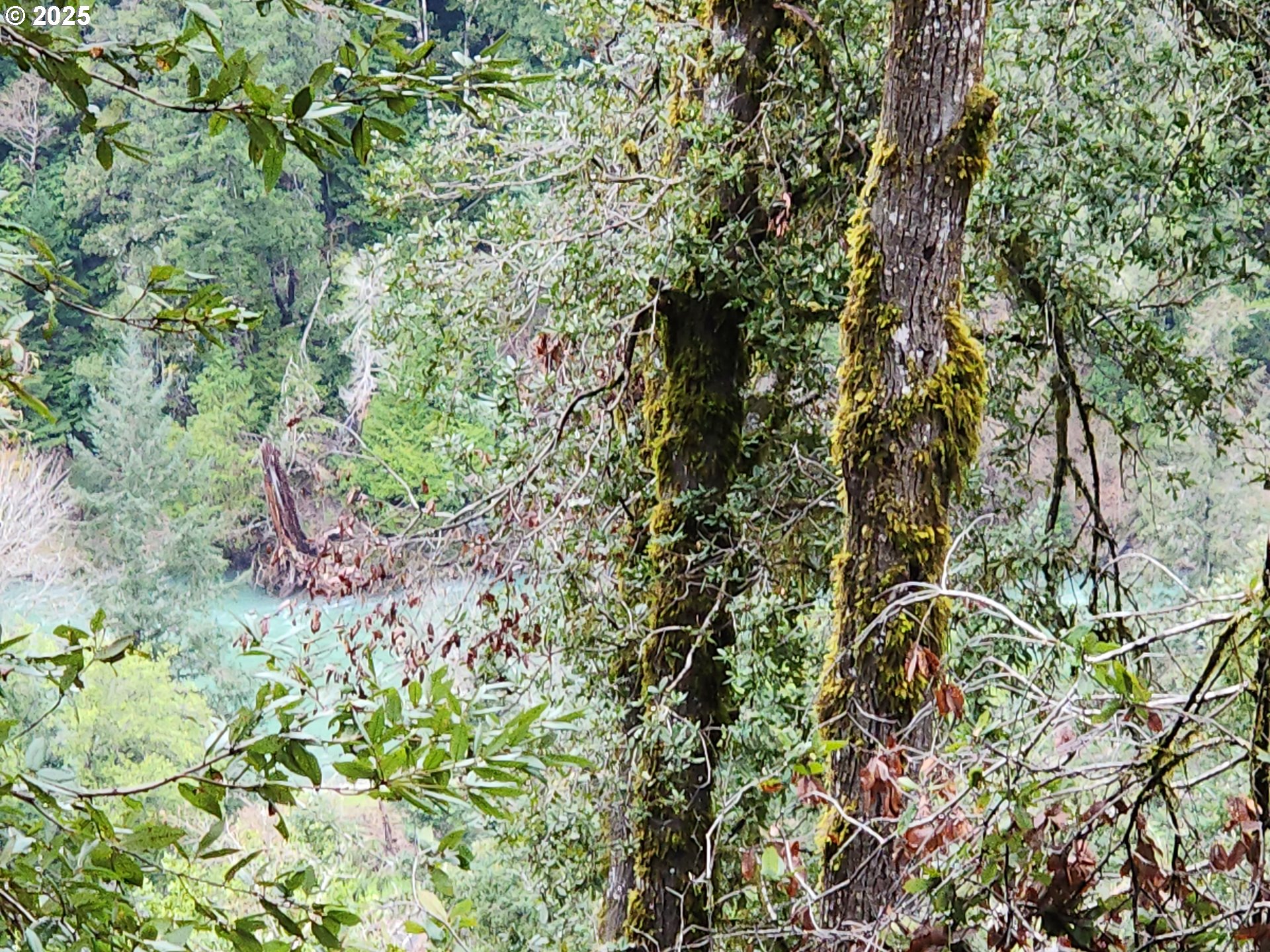 0 Southeast Elk River Road Port Orford, OR 97465 - Photo 22 of 30