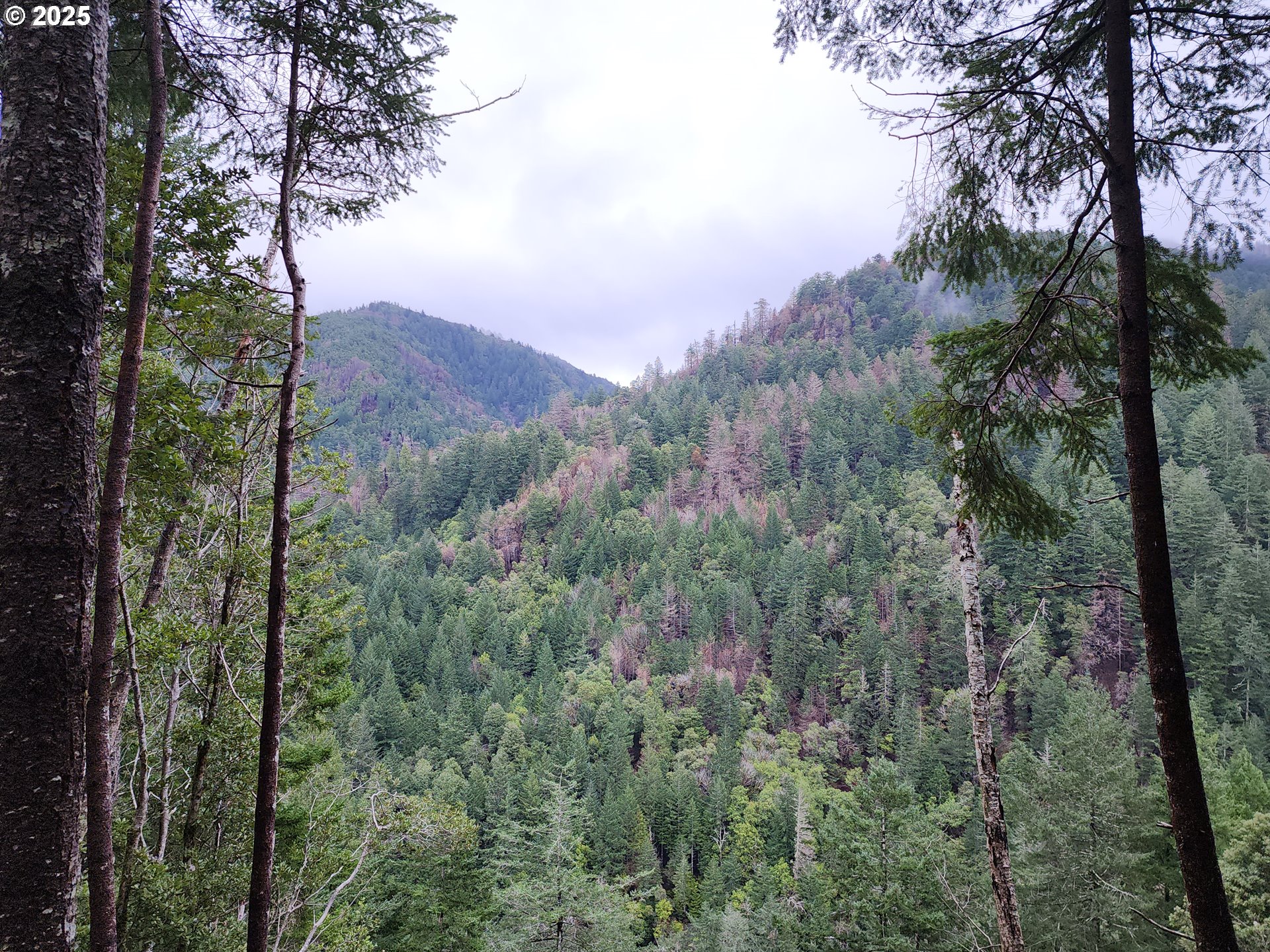 0 Southeast Elk River Road Port Orford, OR 97465 - Photo 23 of 30