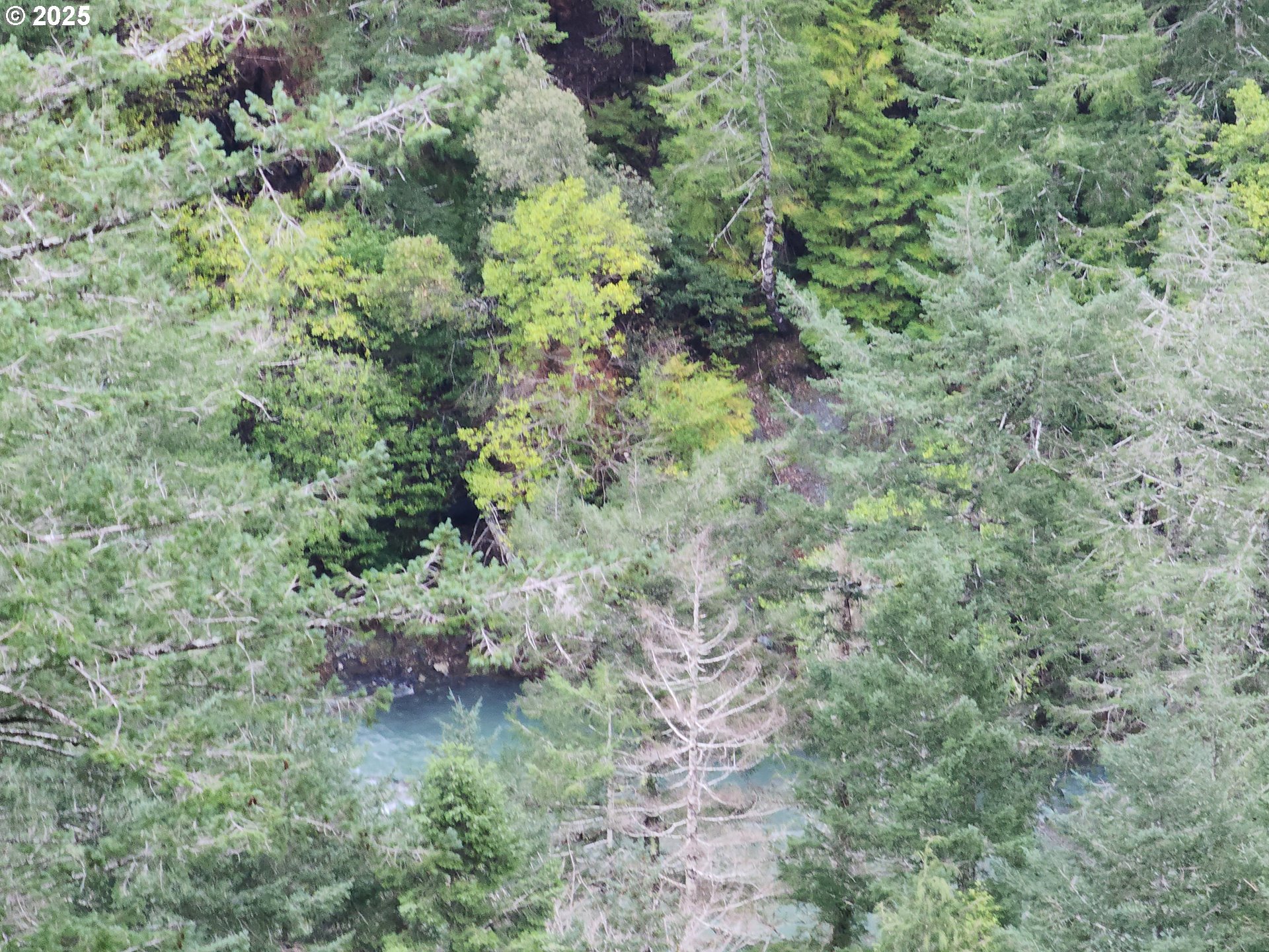 0 Southeast Elk River Road Port Orford, OR 97465 - Photo 24 of 30